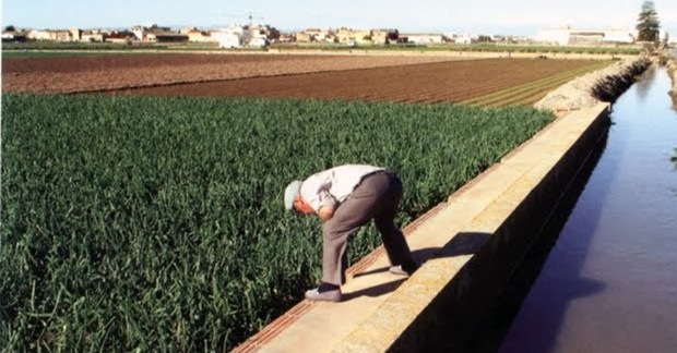 III Congres d'Estudis de l'Horta Nord