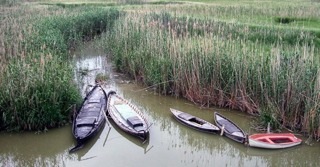 Barcas de pescadores en la ribera de l'Albufera