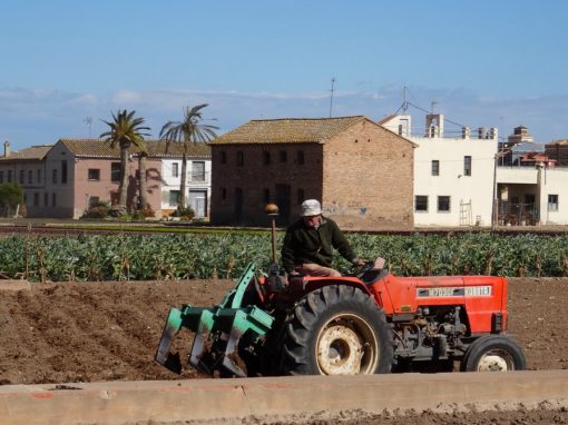 Diagnóstico del estado de las tierras de cultivo en Alboraia