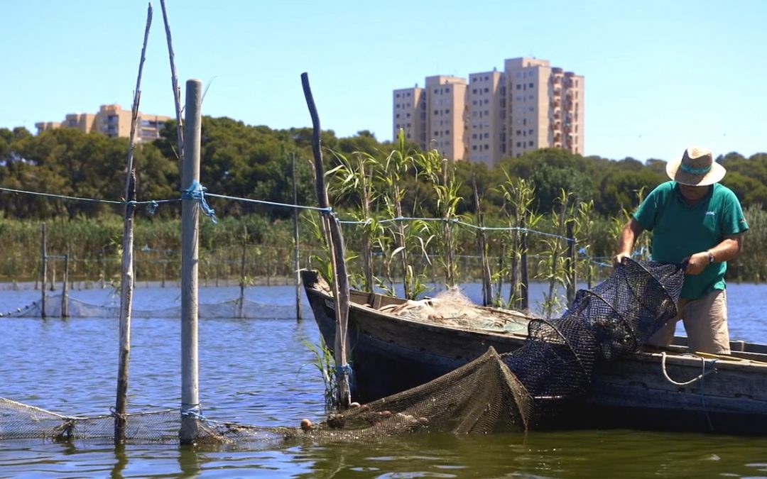 La pesca artesanal en L’Albufera: una exposición y un documental