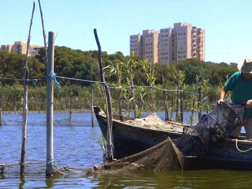 La pesca artesanal a l’Albufera: una exposició i un documental