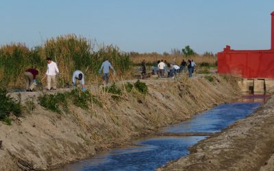 Conclouen les actuacions de 2025 del projecte de custòdia del territori al Tancat de l’Estell