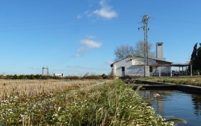 La Fundació Assut participa en el projecte OBEREK per a la millora del seguiment ambiental de l’Albufera