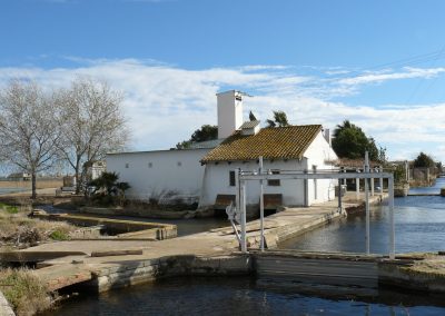OBEREK: Monitorización para la biodiversidad en L’Albufera