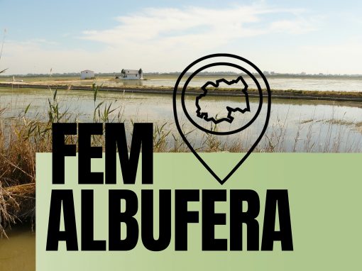 PROYECTO FEM ALBUFERA: ciencia ciudadana para cuidar el territorio